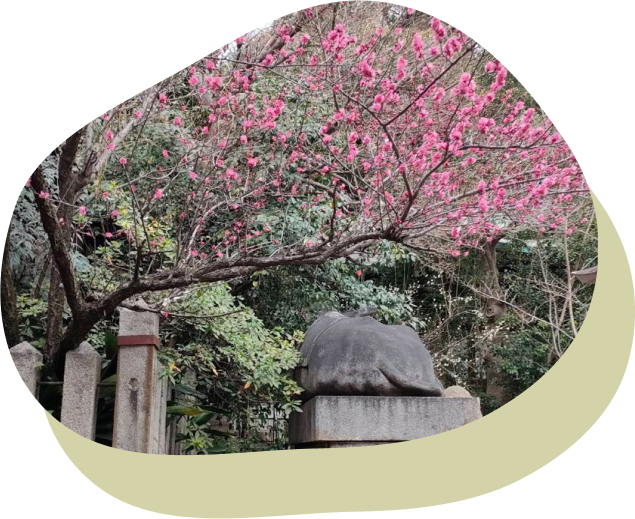 五毛天神
